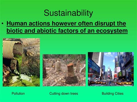 Ecosystems Ecosystems Abiotic Biotic Population Community Ppt Download