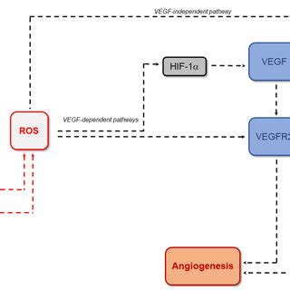 Signalling Pathways And Interactions Between Cells In Uveal Melanoma