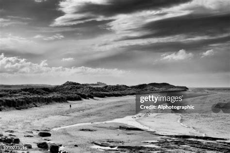 801 Sunderland Beach Stock Photos, High-Res Pictures, and Images - Getty Images