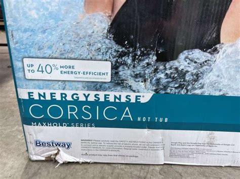 SALUSPA CORSICA HOT TUB IN BOX Earl S Auction Company