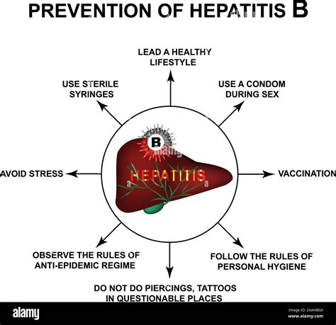 Prevention of Hepatitis B. World Hepatitis Day. Infographics. Vector illustration on isolated ...