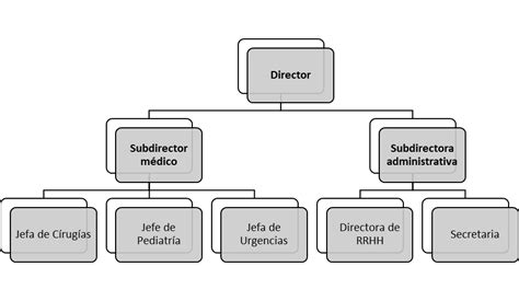 Organigrama Vertical De Una Empresa