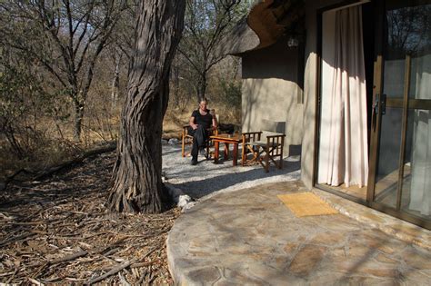 Namibia Etoscha National Park National Parks Park Outdoor Decor