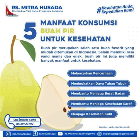 Manfaat Konsumsi Buah Pir Untuk Kesehatan Rs Mitra Husada Pringsewu