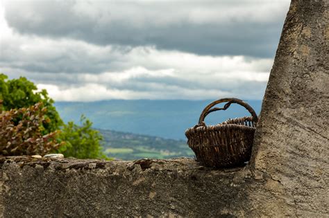 Fondos de pantalla fotografía paisaje Colinas Árboles Plantas