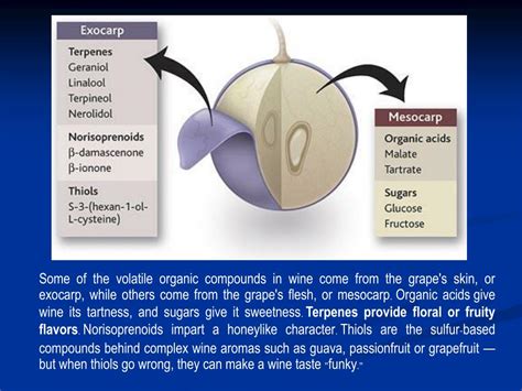 Ppt Biosynthesis Of Plant Derived Flavor Compounds Powerpoint Presentation Id217240