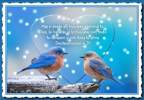 versiculos biblicos aves