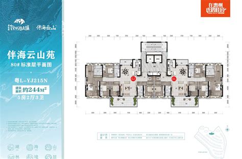 “惠州碧桂園伴海雲山洋房”中發睇樓 日日出發 中發地產助你灣區置業