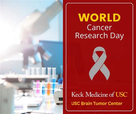 Usc Brain Tumor Center On Linkedin Worldcancerresearchday Brain