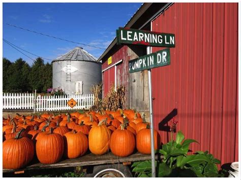 Enchanted Acres Pumpkin Patch in Iowa USA - Between England ...