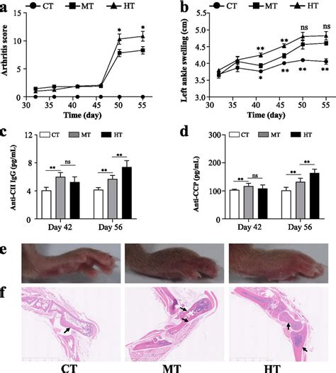 High Humidity Aggravates The Severity Of Collagen Induced Arthritis