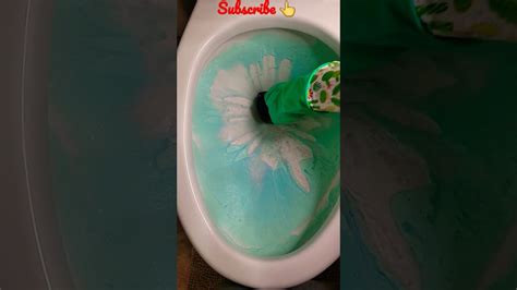 ASMR Toilet Scrub With Sos Pads Pinalen Dish Soap Comet Paste