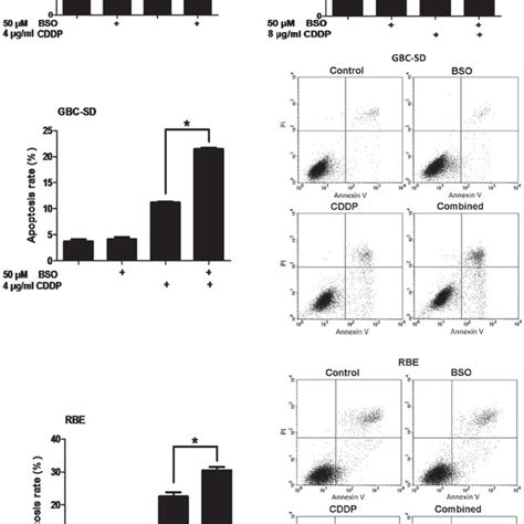 Effect Of BSO On GSH Levels And GSH GSSG Ratio In Biliary Tract Cancer