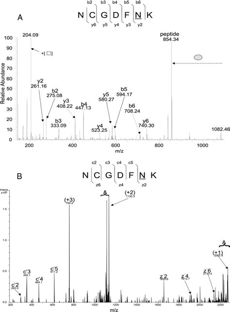 Simultaneous Glycan Peptide Characterization Using Hydrophilic