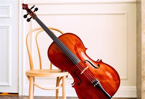 Il Violoncello Storia Caratteristiche Marangi Strumenti Musicali