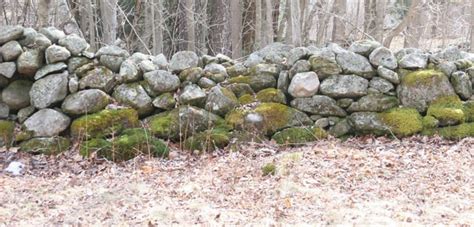 New England Stone Wall Construction Friday April 8 2016 Grafton