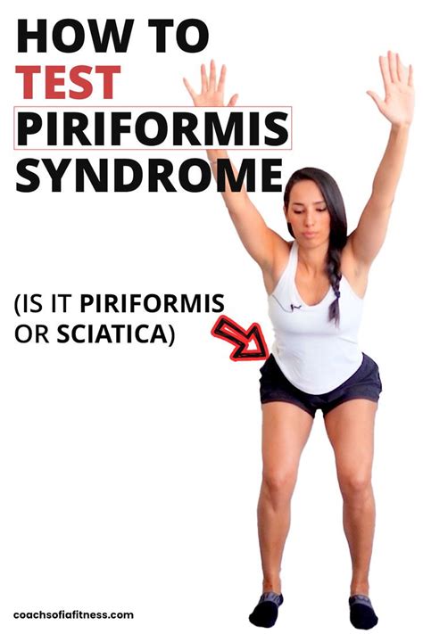 Piriformis Artofit