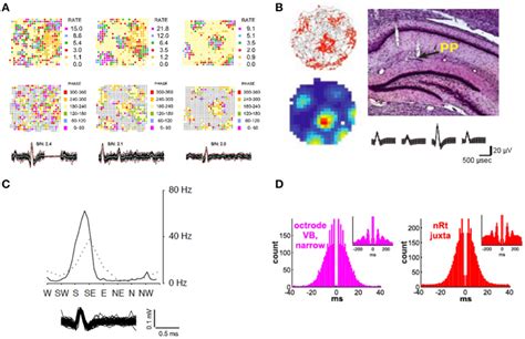 Exploring Neural Circuits Through The In Vivo Extracellular Recording Download Scientific