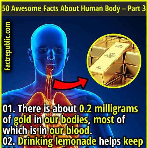 50 Awesome Facts About Human Body – Part 3 - Fact Republic ...