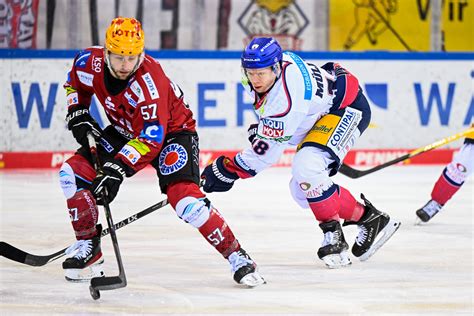 Pinguins Gewinnen Punkte Gegen Berlin Fischtown Pinguins