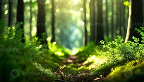 AI generated beautiful nature picture 35040567 Stock Photo at Vecteezy