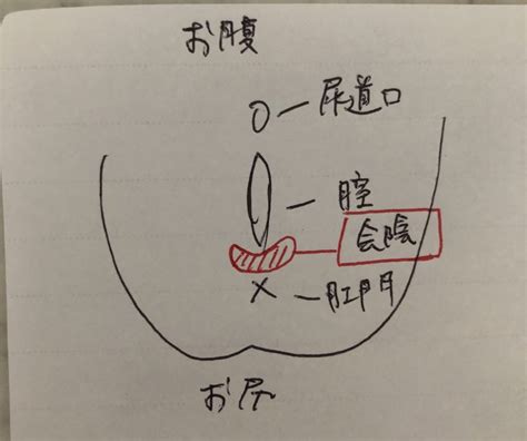 臨月の方必見！会陰マッサージ、膣マッサージの方法 助産師しゅん（shun）の育児辞書