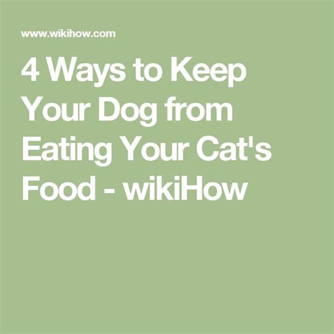 4 Ways To Keep Your Dog From Eating Your Cats Food Cat Food Dogs Cats