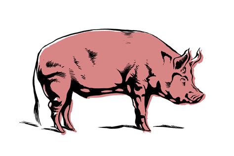 Free Cartoon Pig Pics, Download Free Cartoon Pig Pics png images, Free ...