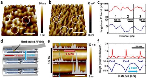 Figure From Bioinspired Piezoelectric Nanogenerators Based On