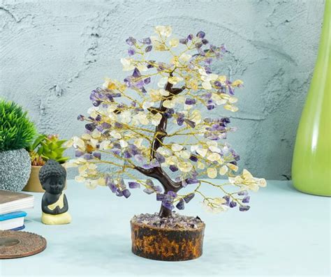 Incorporating Feng Shui Money Tree Into Your Life For Prosperity And Abundance