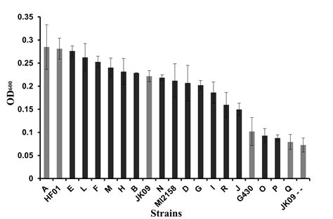 Scielo Brasil Comparative Gene Analysis Of Beer Tolerant And