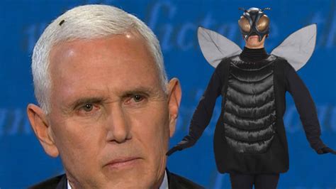 Halloween 'Fly Costume' Sells Out Immediately After VP Debate