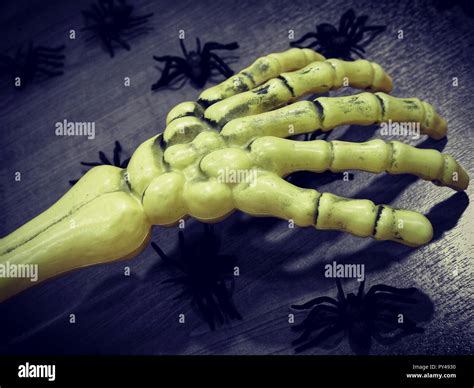 Halloween, Skeleton arm Stock Photo - Alamy