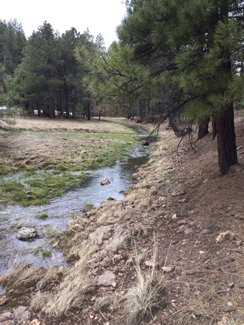 Pumphouse Wash Arizona Alltrails