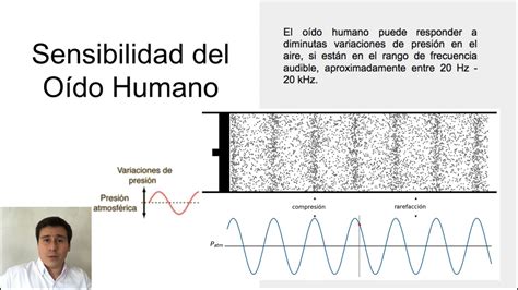 Rango Audible de Frecuencias y Percepción del Sonido Clase 62 del