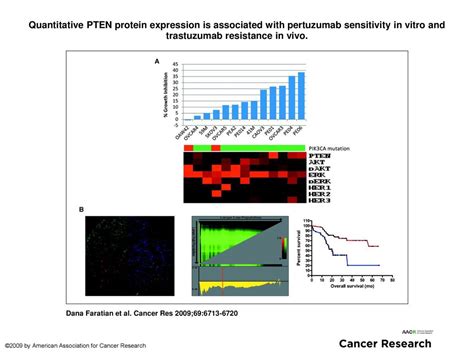 Quantitative PTEN Protein Expression Is Associated With Pertuzumab