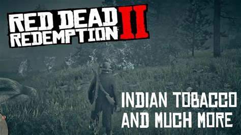 Indian Tobacco Locations Red Dead Redemption 2 Youtube