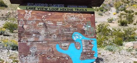 Best Hikes And Trails In Alamo Lake State Park Alltrails