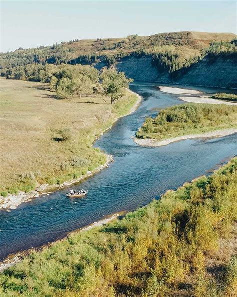 bow river fly fishing guide calgary