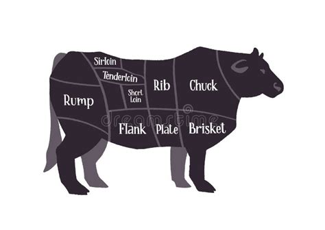 Steak Cuts Set Beef Cuts Chart And Pieces Of Beef Used For Cooking