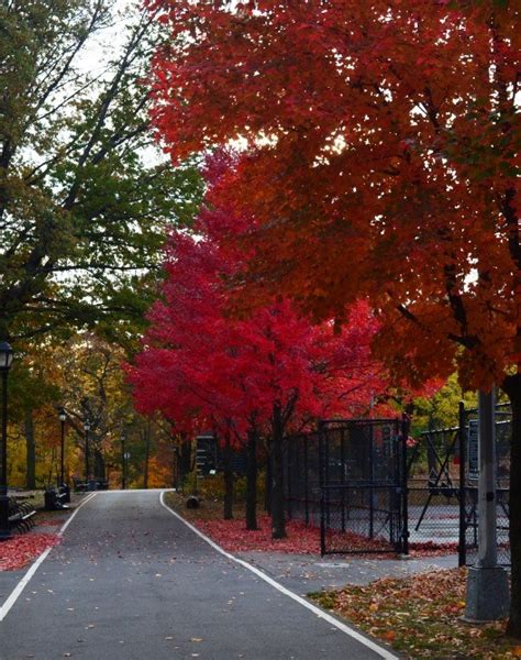 Bronx Botanical Garden During the Fall Season - Full Access NYC