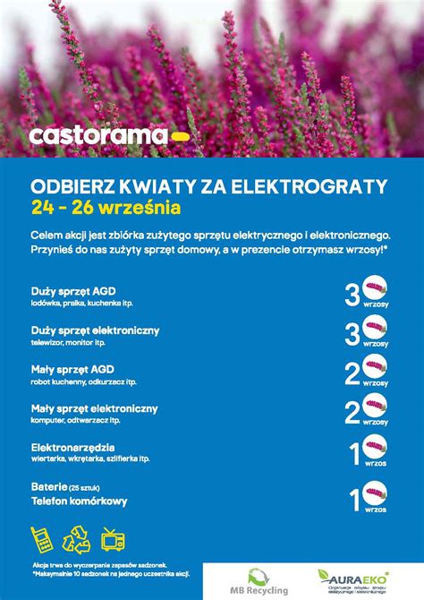 Castorama Kwiaty Za Elektrograty Castorama Poland