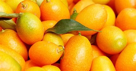 Kumquat O Mandarino Cinese Come Si Mangia GreenStyle