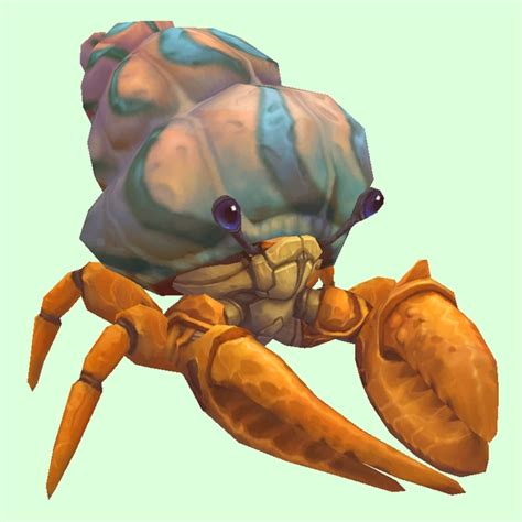 Orange Hermit Crab W Pale Orange Blue Shell Pet Look Petopia