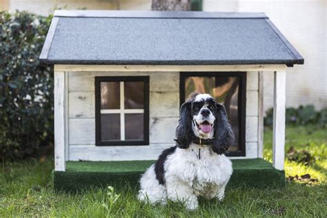 Topo Imagem Como Hacer Casas Para Perros Economicas Abzlocal Mx