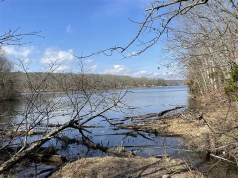 Best Forest Trails in Green Lane Reservoir Park | AllTrails