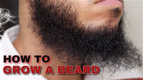 How To Grow A Good Beard At Darlene Reyes Blog