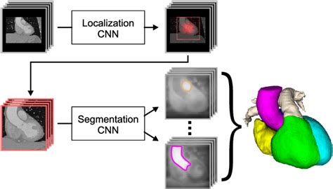 Figure 1 From Multi Label Whole Heart Segmentation Using Anatomical