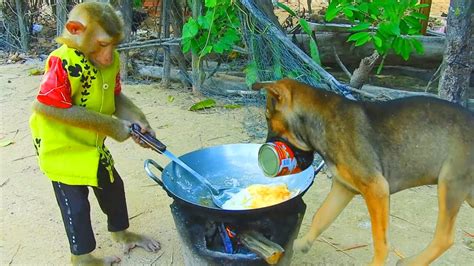 Amazing Sokyaa Cooking Omelet For Pop Cos Very Hungry Best Animal