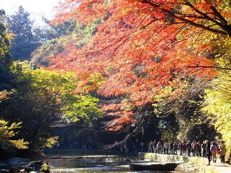 養老渓谷の紅葉画像4枚目 ｜紅葉名所2024